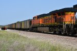 BNSF 5901 Roster